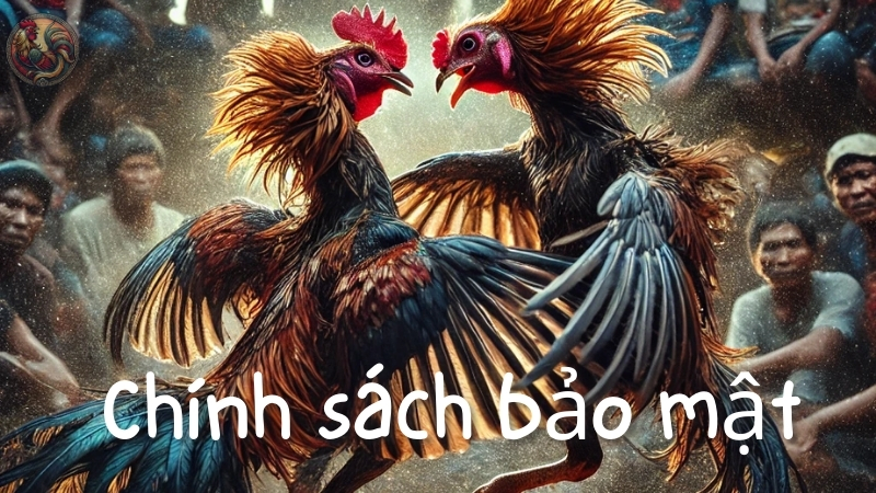 Chính sách bảo mật