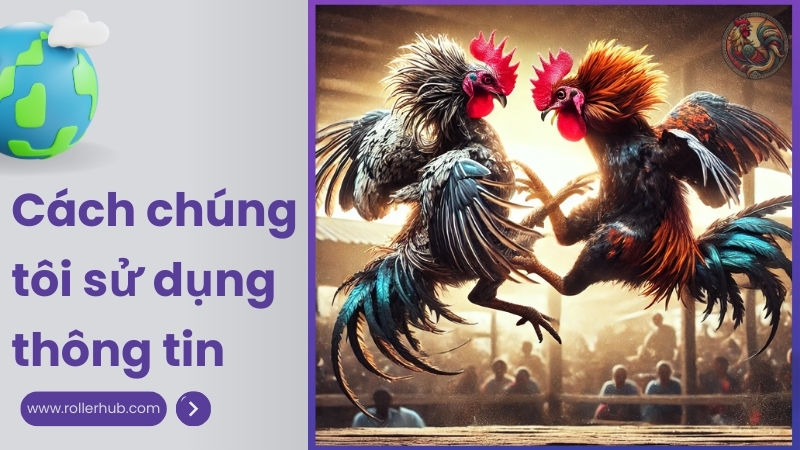 Cách chúng tôi sử dụng thông tin