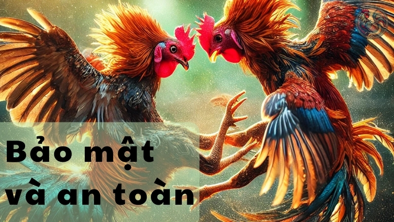 Bảo mật và an toàn