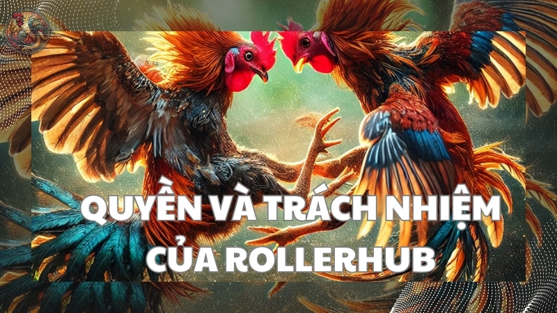 Quyền và trách nhiệm của RollerHub